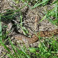 img_6717.jpg