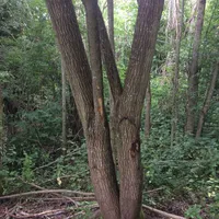 image2.jpeg