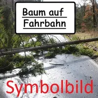baum_auf_fahrbahn.jpg